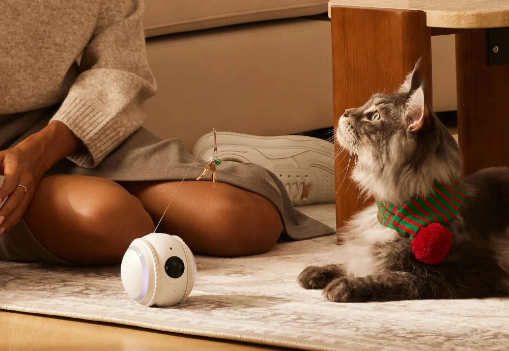 best pet camera for dogs