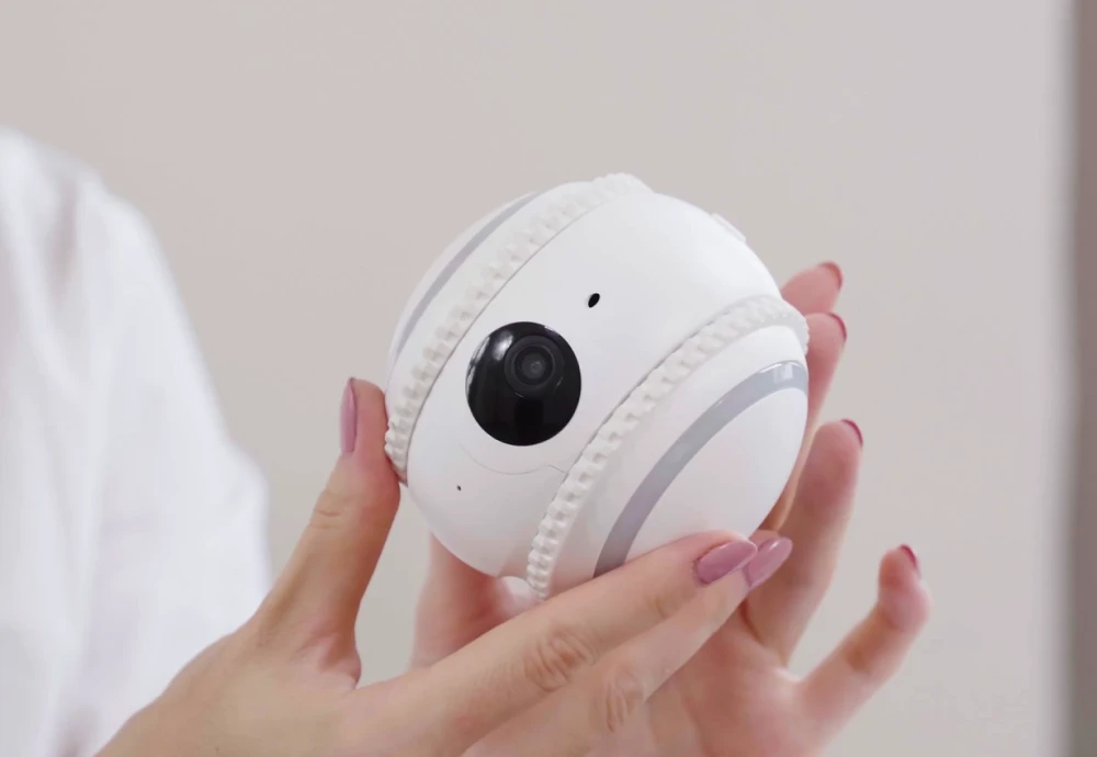 portable pet camera